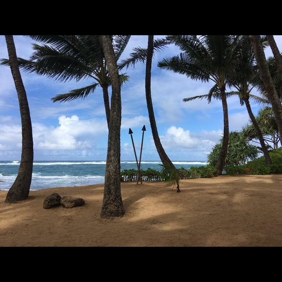 Meet your Posher, Sandy - Picture 1 of 1